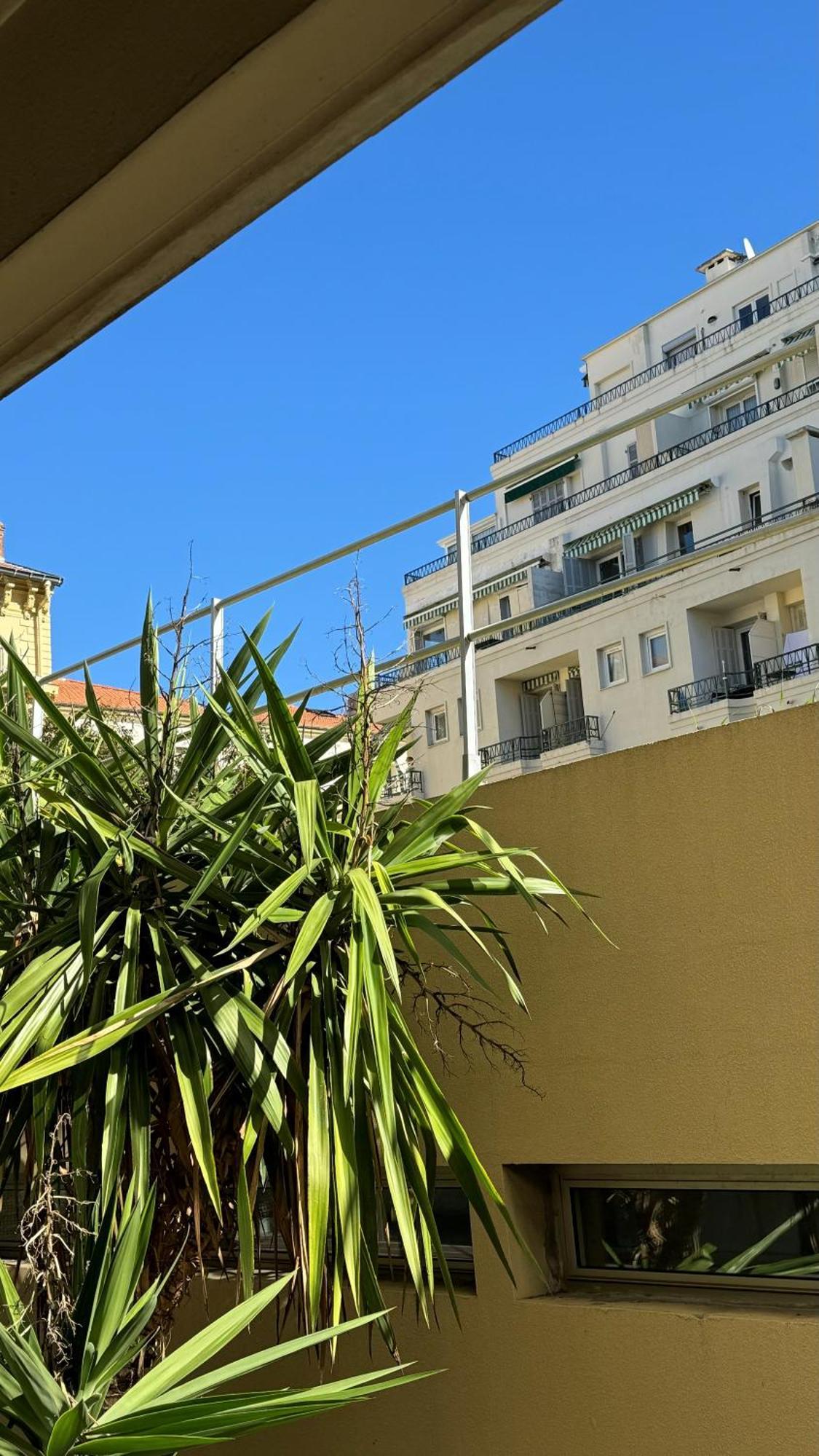 Studio Carre D'Or Nice Dış mekan fotoğraf